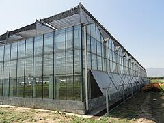 玻璃连栋智能温室大棚当选万红温室园艺工程公司:安庆玻璃连栋智能温室大棚