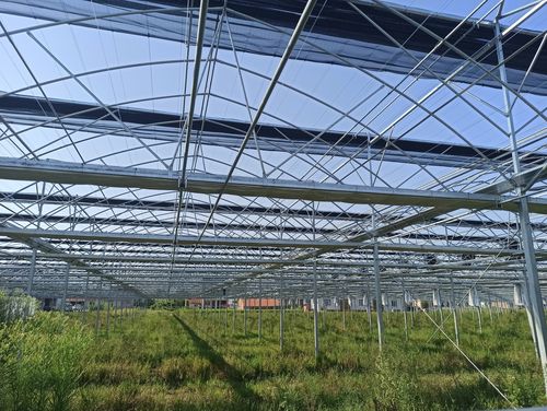 江苏冬晖西瓜蔬菜养殖玻璃温室大棚钢管厂|摄影|产品|冬晖温室大棚