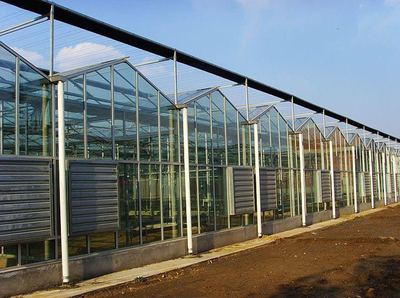 【连栋温室建造】玻璃连栋温室建造就找山东农腾温室工程