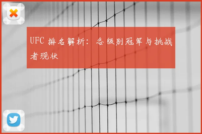 UFC 排名解析：各级别冠军与挑战者现状