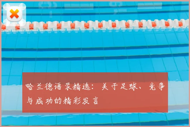 哈兰德语录精选:关于足球、竞争与成功的精彩发言